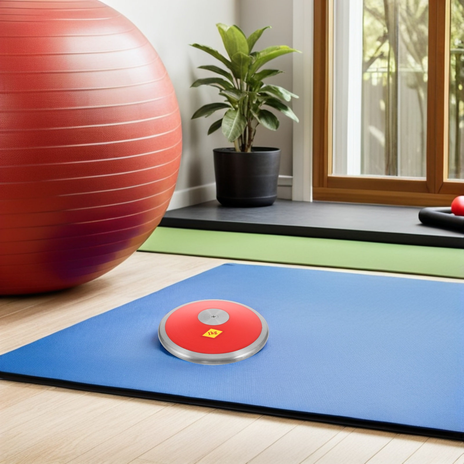 Nylon Training Discus 1Kg Even - Sports Equipment Training 评论和价格