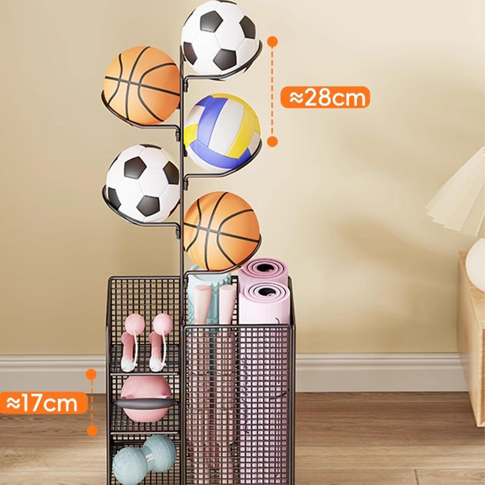 Ball Storage Rack Vertical Bas - Sports Equipment And Facilities 评论和价格